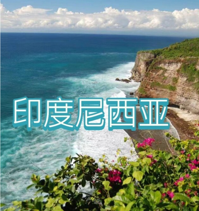 际电商(印尼)产业博览会新葡京娱乐202