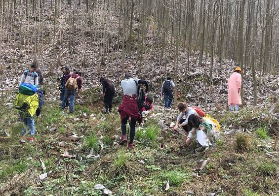 3处辛夷花观赏点去过的竟说坑？澳门新葡京app深扒四川绵阳(图5)