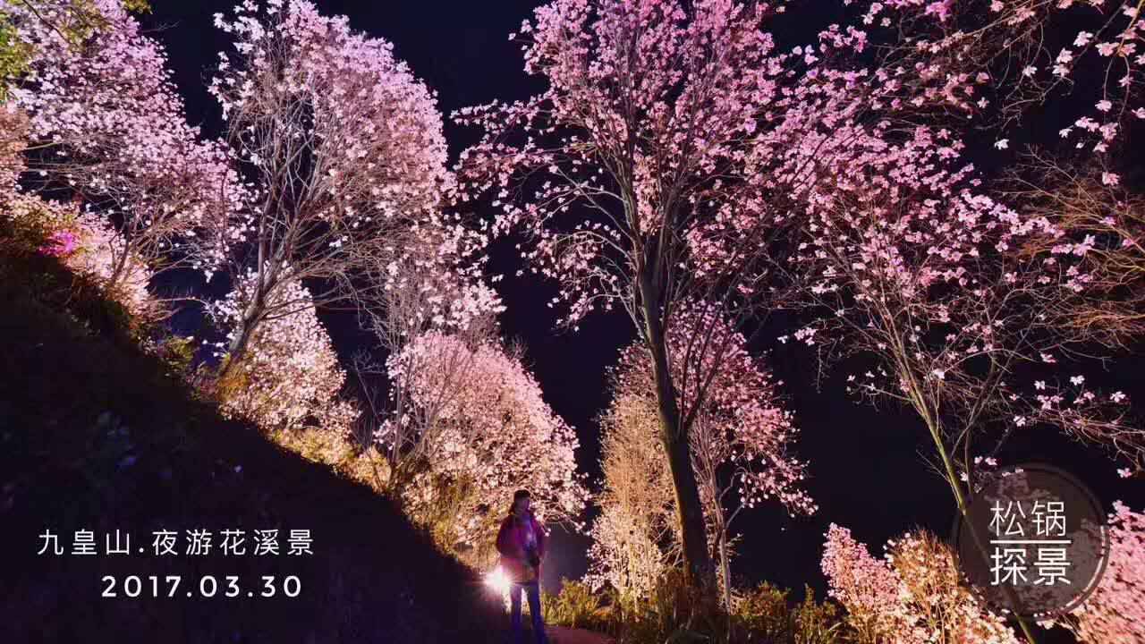 3处辛夷花观赏点去过的竟说坑？澳门新葡京app深扒四川绵阳(图7)