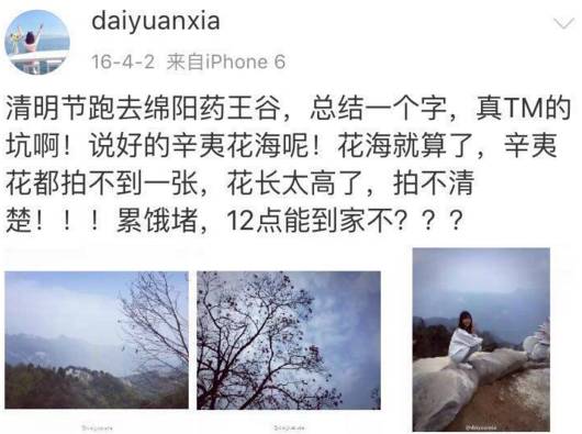 3处辛夷花观赏点去过的竟说坑？澳门新葡京app深扒四川绵阳(图12)