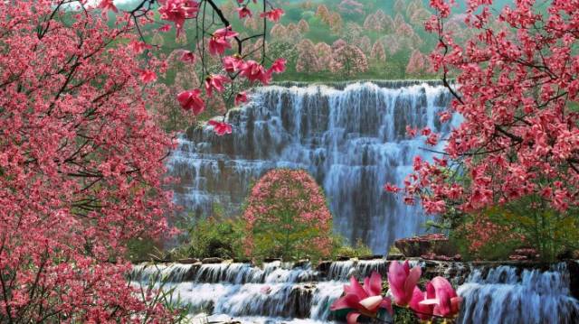 3处辛夷花观赏点去过的竟说坑？澳门新葡京app深扒四川绵阳(图14)